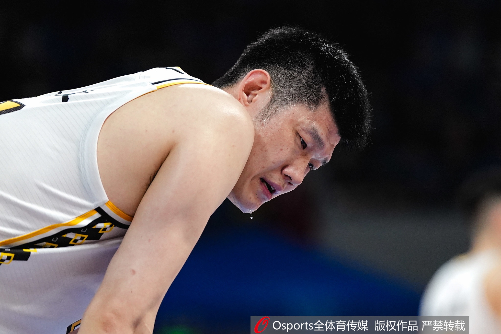 媒体人评论胡金秋在CBA与国家队的辛勤付出 他理应获得总冠军